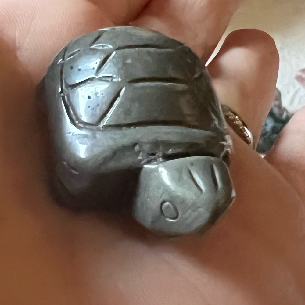 Turtle Carving - Picture 12 of 16